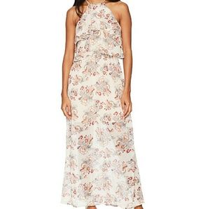 New Maxi Floral Dress (New Without Tags)